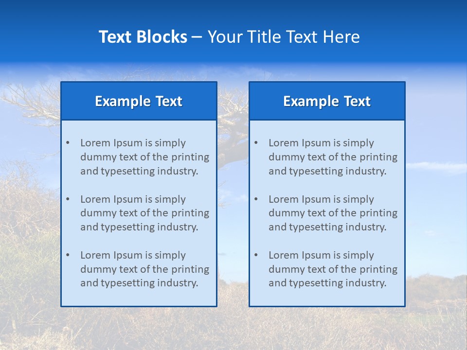 Nicaragua Colorful Chestnut PowerPoint Template