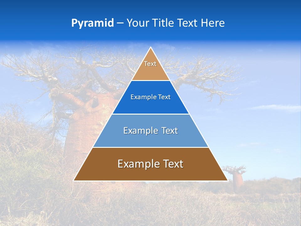 Nicaragua Colorful Chestnut PowerPoint Template