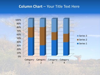 Nicaragua Colorful Chestnut PowerPoint Template