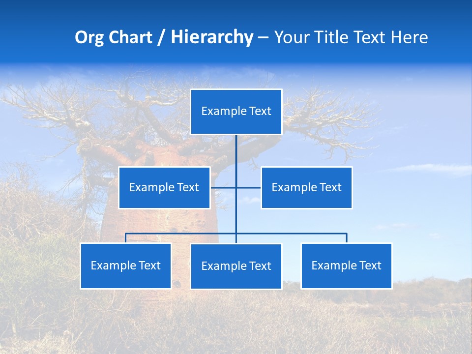 Nicaragua Colorful Chestnut PowerPoint Template