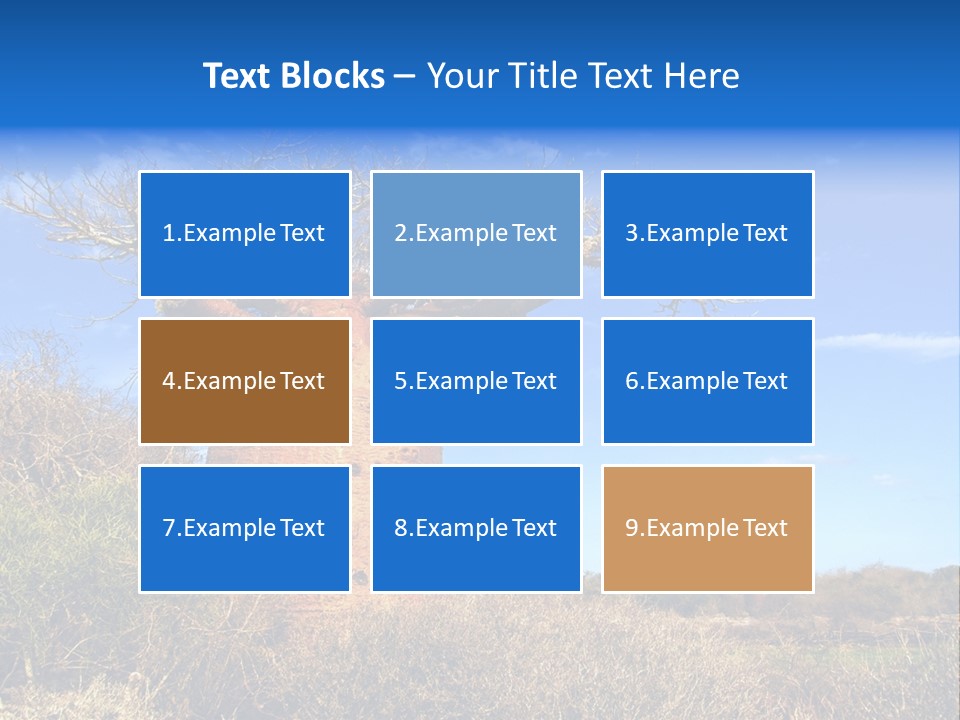 Nicaragua Colorful Chestnut PowerPoint Template