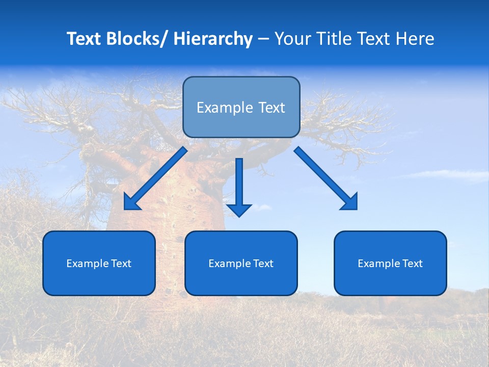 Nicaragua Colorful Chestnut PowerPoint Template