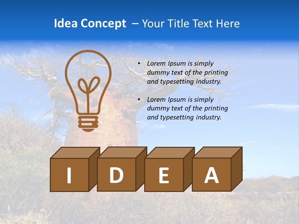 Nicaragua Colorful Chestnut PowerPoint Template