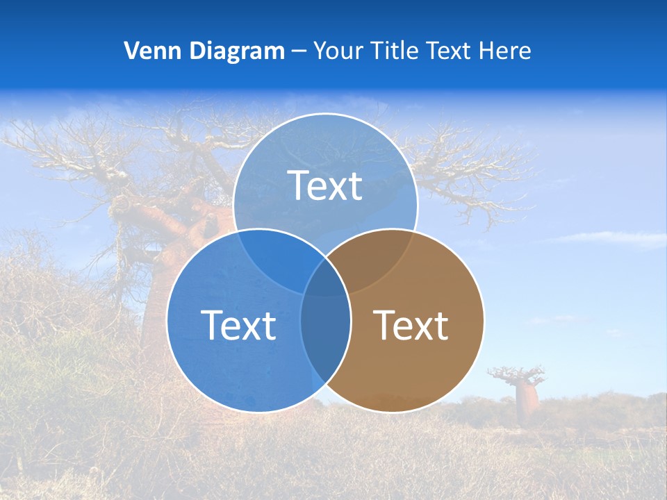 Nicaragua Colorful Chestnut PowerPoint Template