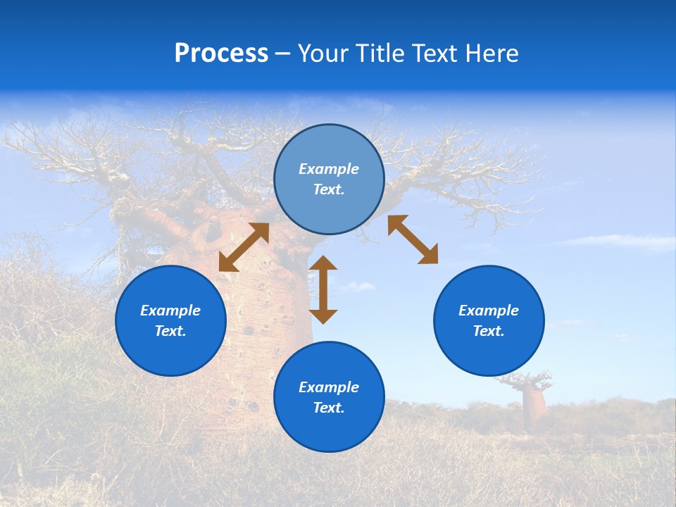 Nicaragua Colorful Chestnut PowerPoint Template