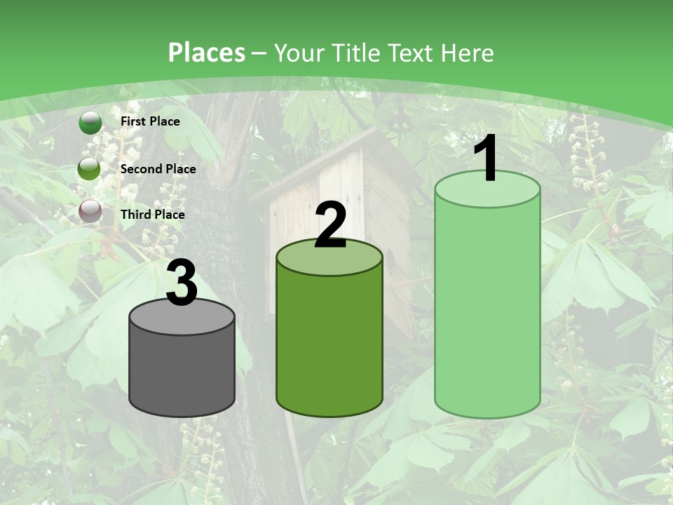 Freshness Leafage Color PowerPoint Template