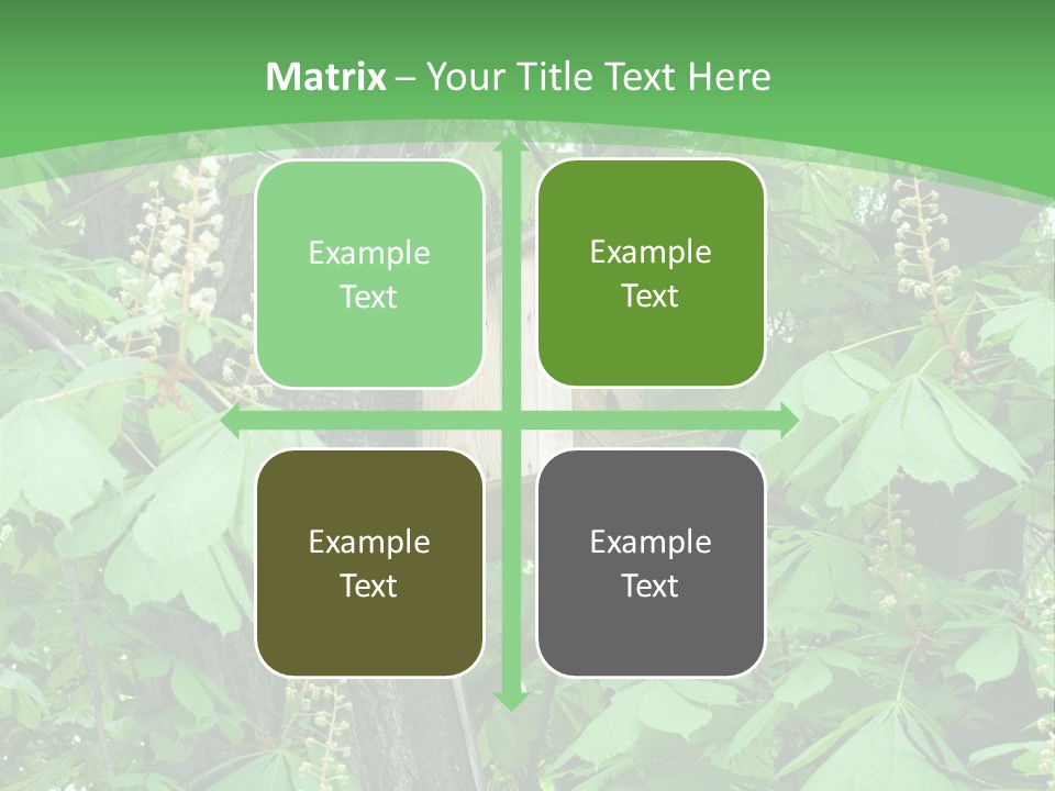 Freshness Leafage Color PowerPoint Template