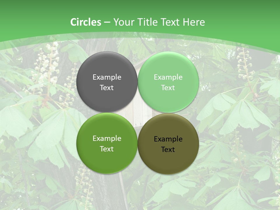 Freshness Leafage Color PowerPoint Template