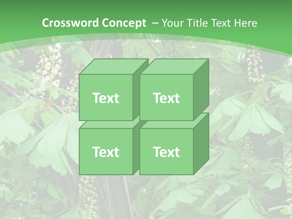 Freshness Leafage Color PowerPoint Template