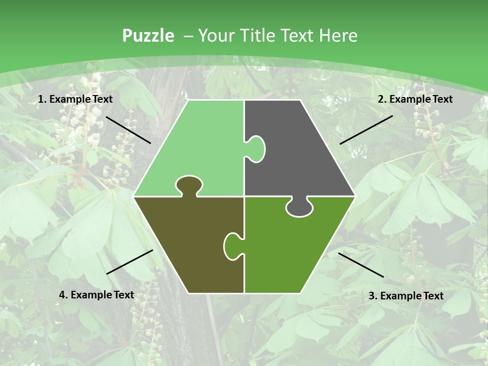 Freshness Leafage Color PowerPoint Template