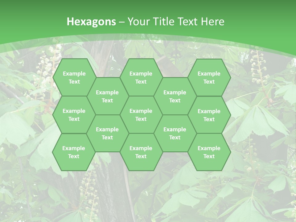 Freshness Leafage Color PowerPoint Template