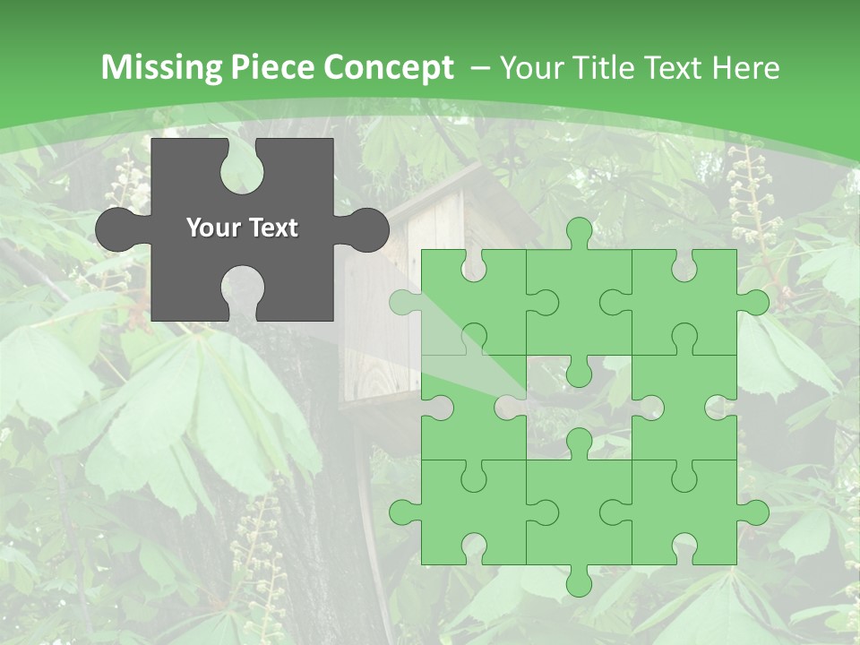 Freshness Leafage Color PowerPoint Template