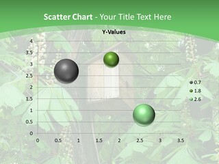 Freshness Leafage Color PowerPoint Template