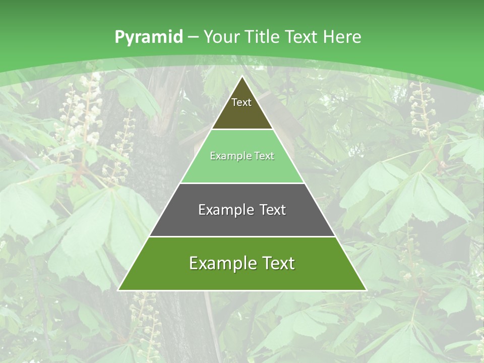 Freshness Leafage Color PowerPoint Template