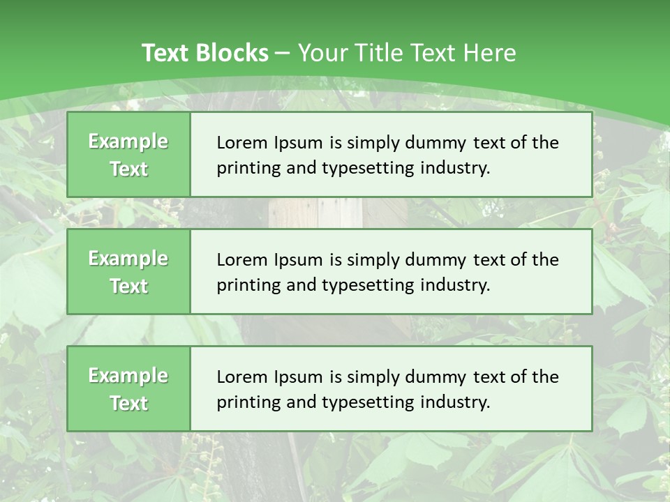 Freshness Leafage Color PowerPoint Template