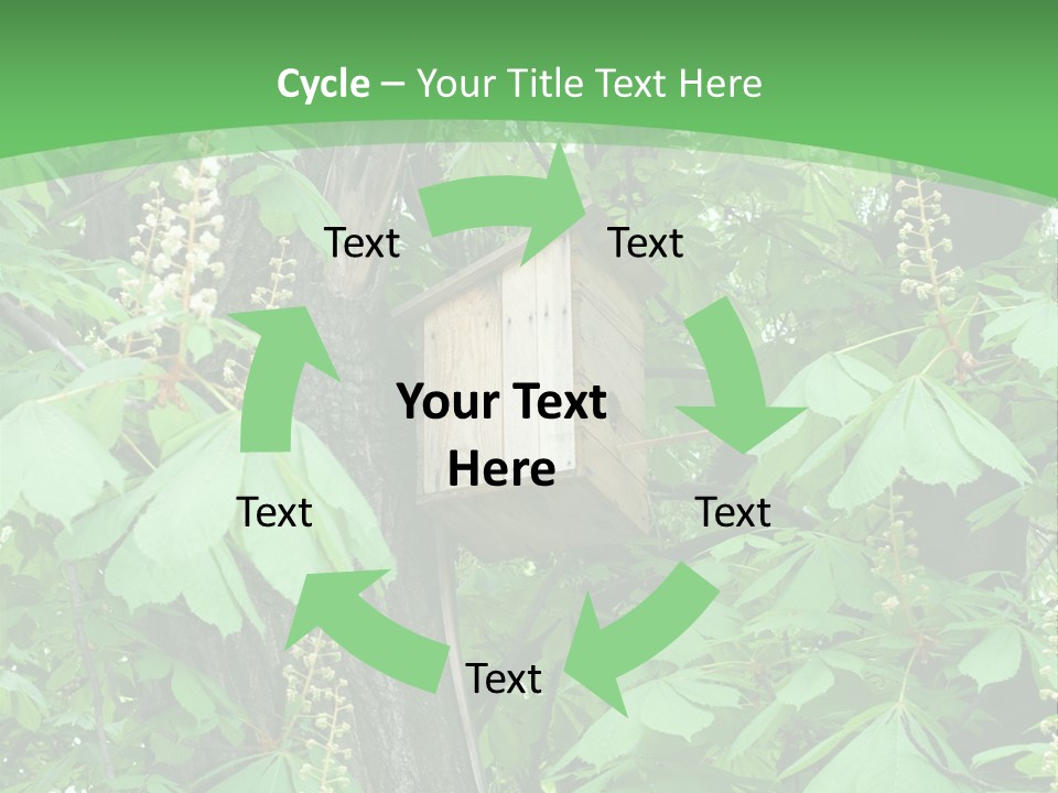Freshness Leafage Color PowerPoint Template