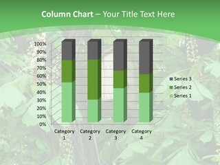 Freshness Leafage Color PowerPoint Template