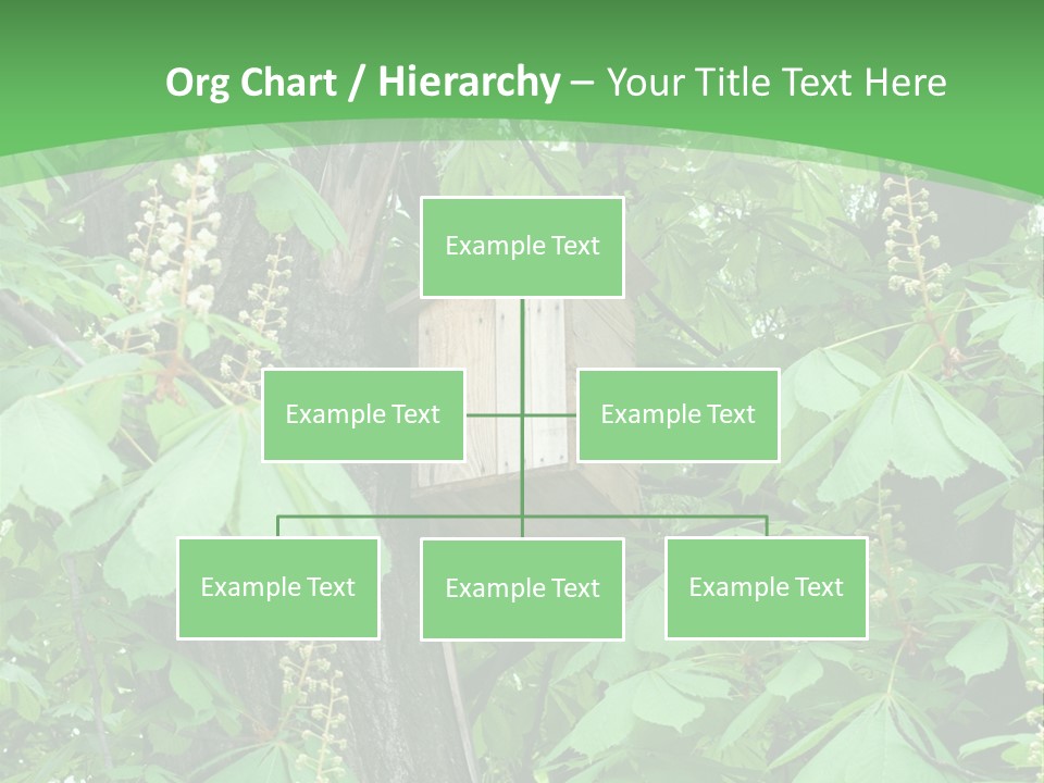 Freshness Leafage Color PowerPoint Template