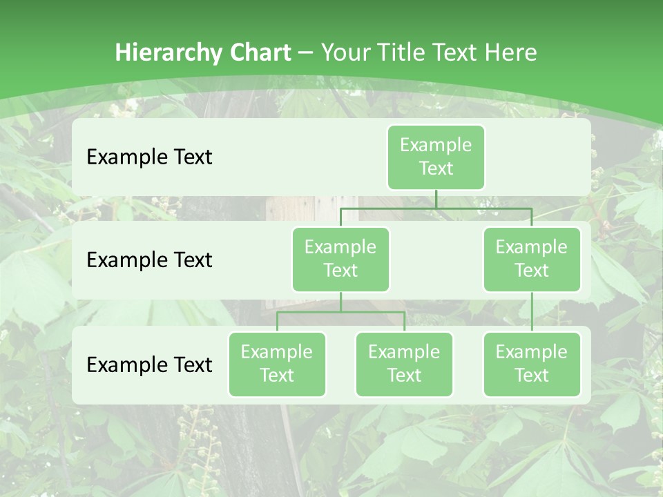Freshness Leafage Color PowerPoint Template