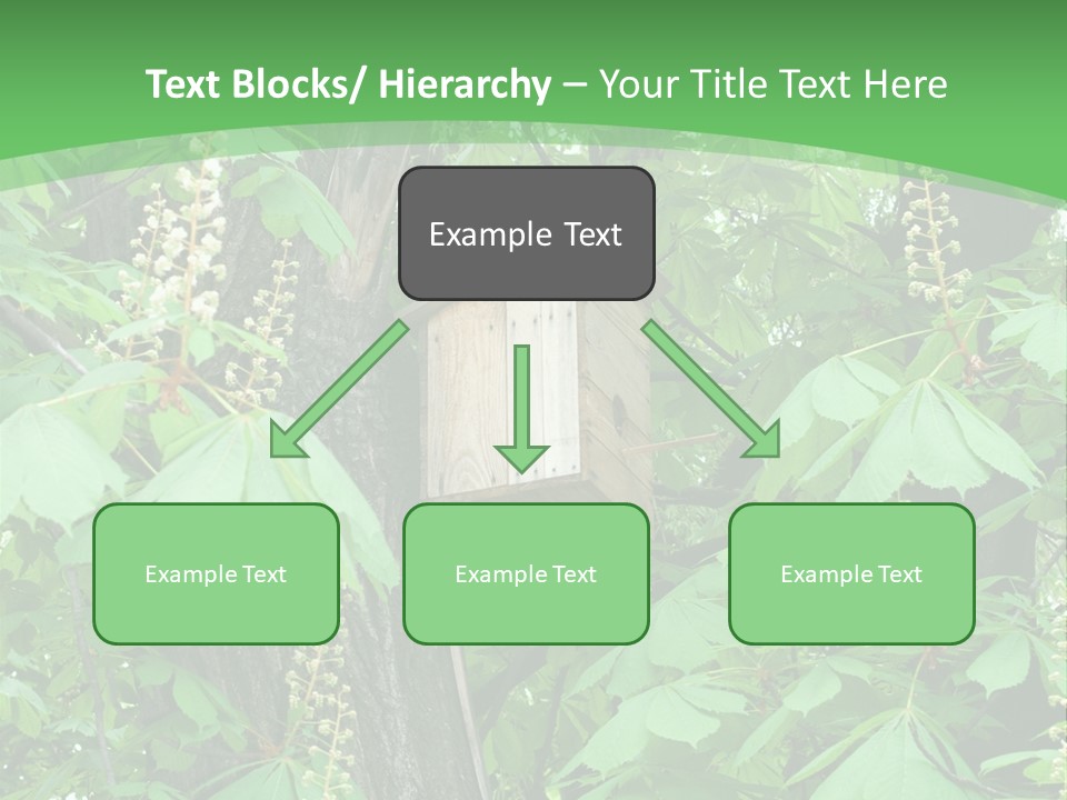 Freshness Leafage Color PowerPoint Template