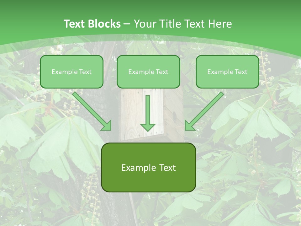 Freshness Leafage Color PowerPoint Template