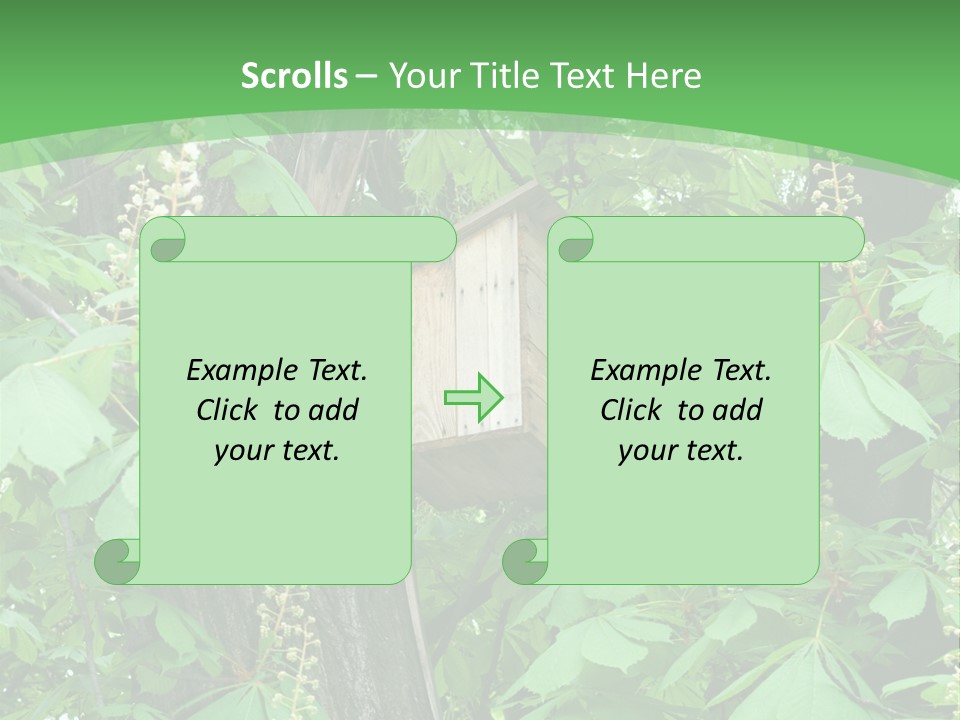 Freshness Leafage Color PowerPoint Template