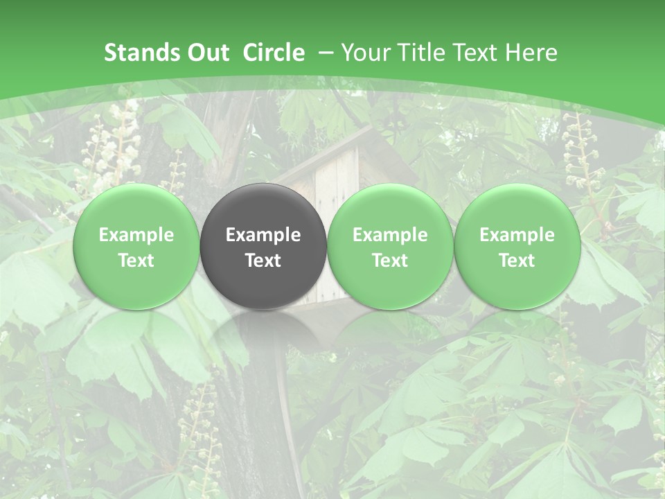 Freshness Leafage Color PowerPoint Template