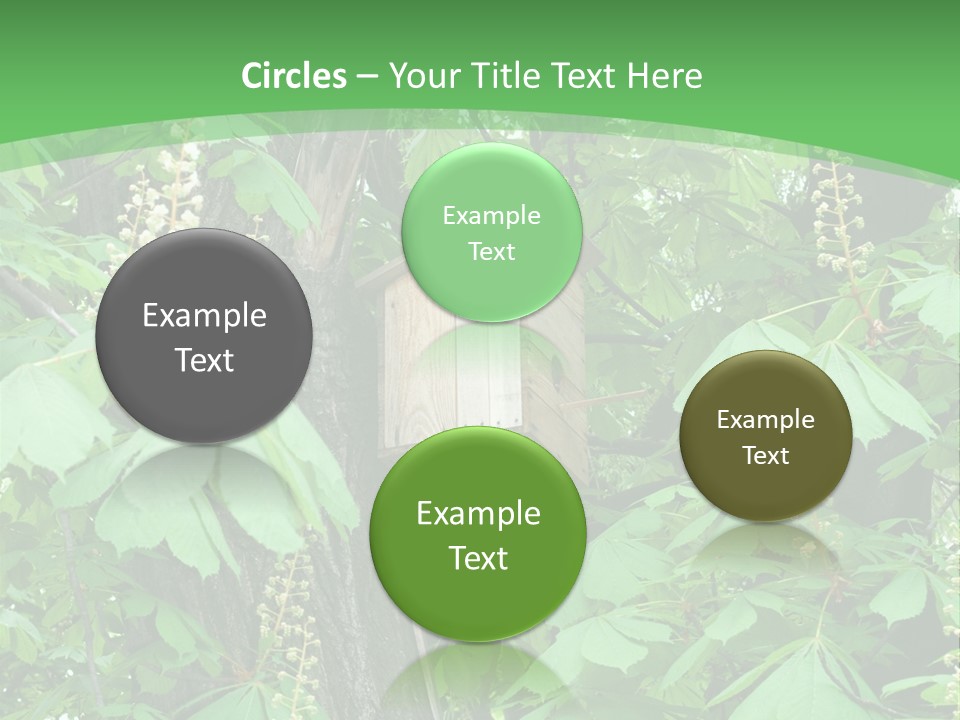 Freshness Leafage Color PowerPoint Template