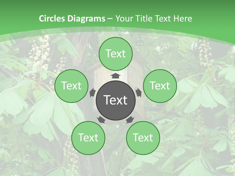 Freshness Leafage Color PowerPoint Template