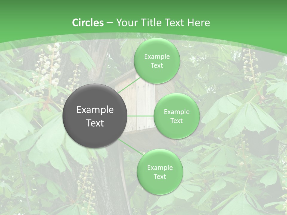 Freshness Leafage Color PowerPoint Template