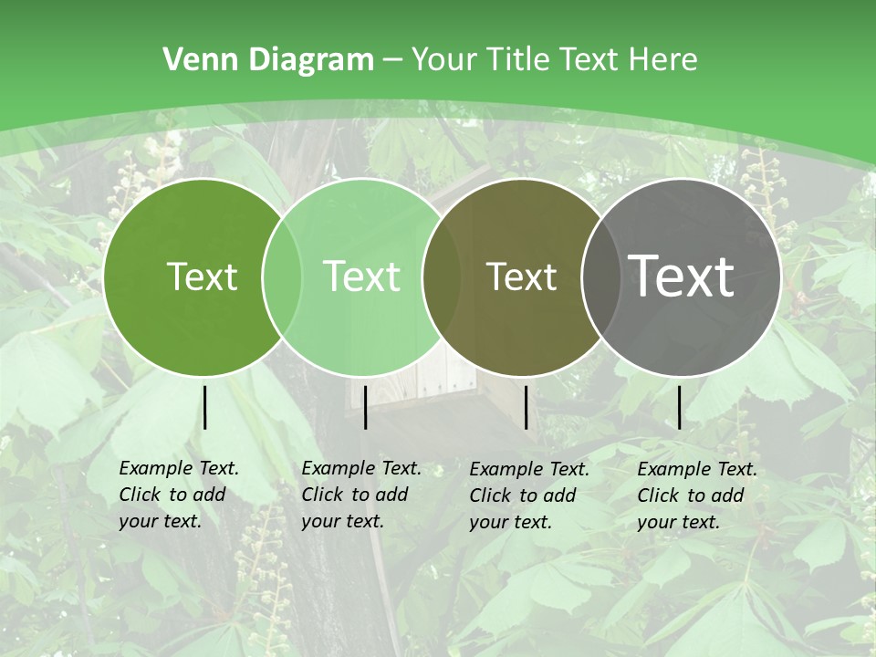 Freshness Leafage Color PowerPoint Template