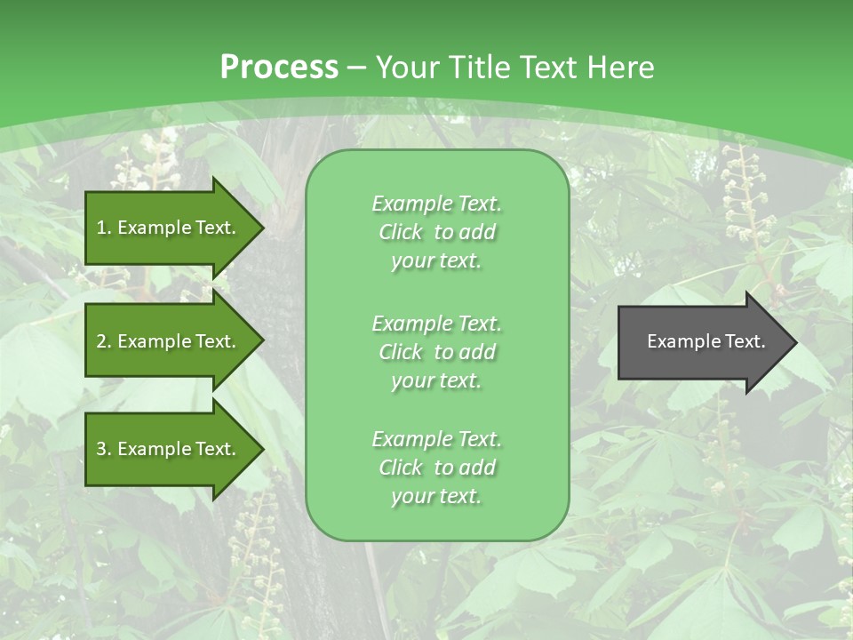 Freshness Leafage Color PowerPoint Template