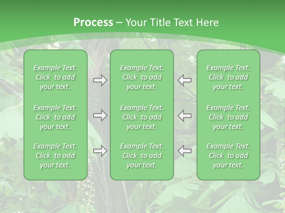 Freshness Leafage Color PowerPoint Template
