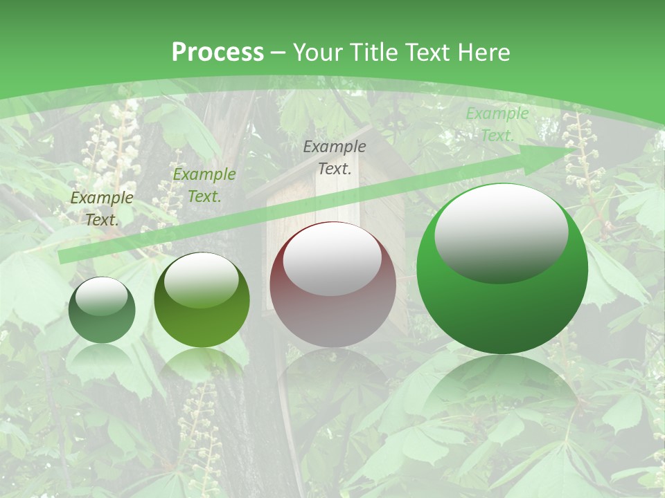Freshness Leafage Color PowerPoint Template