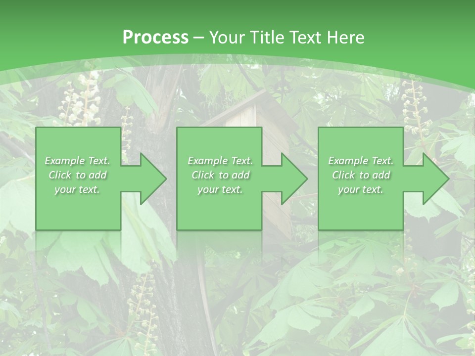 Freshness Leafage Color PowerPoint Template