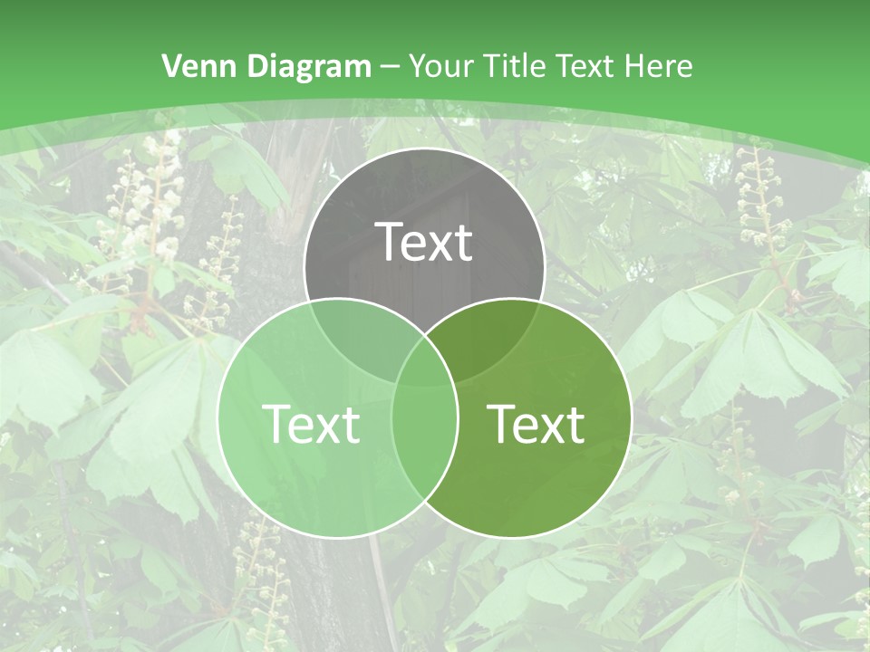 Freshness Leafage Color PowerPoint Template