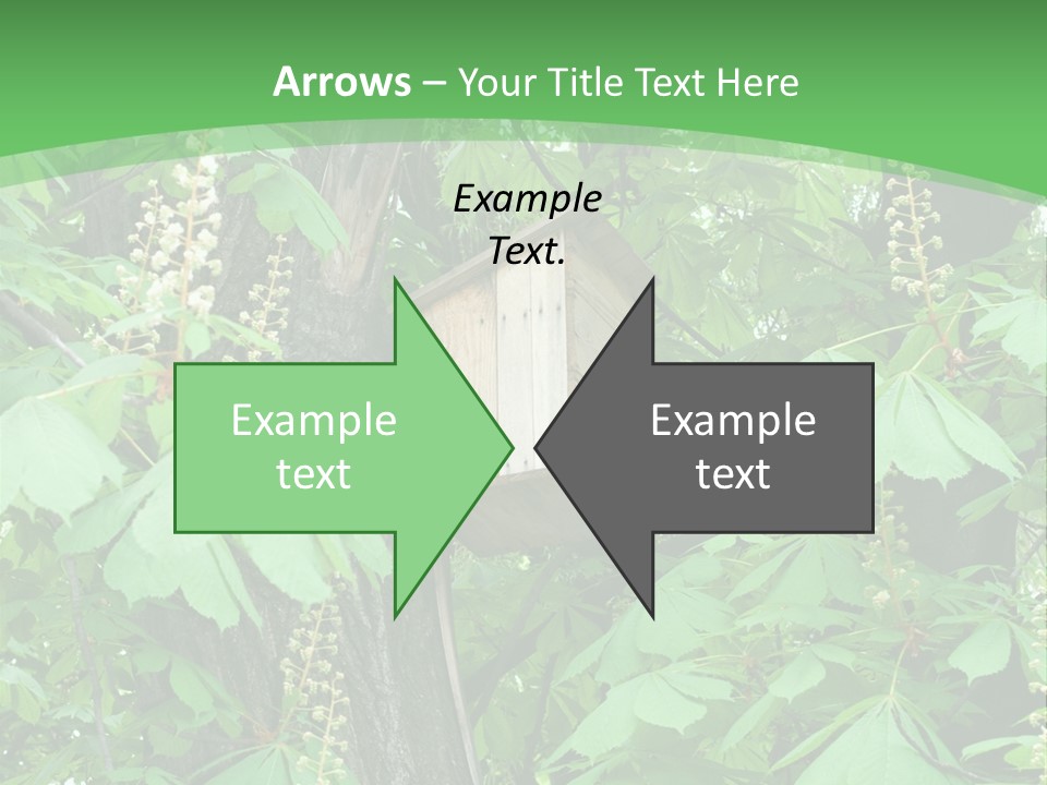 Freshness Leafage Color PowerPoint Template
