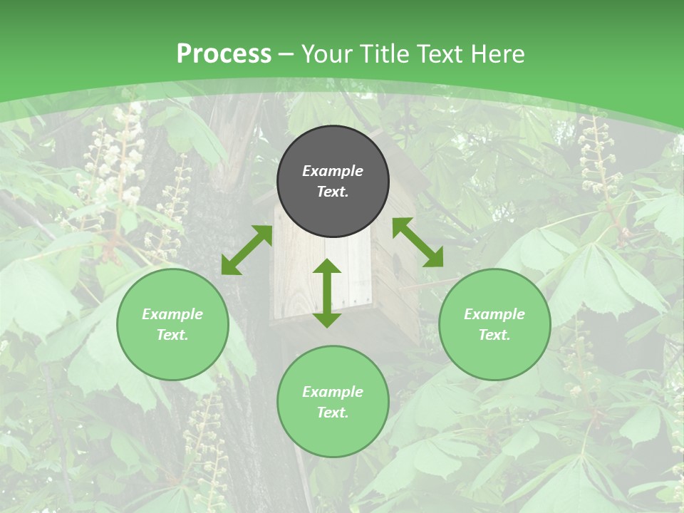 Freshness Leafage Color PowerPoint Template