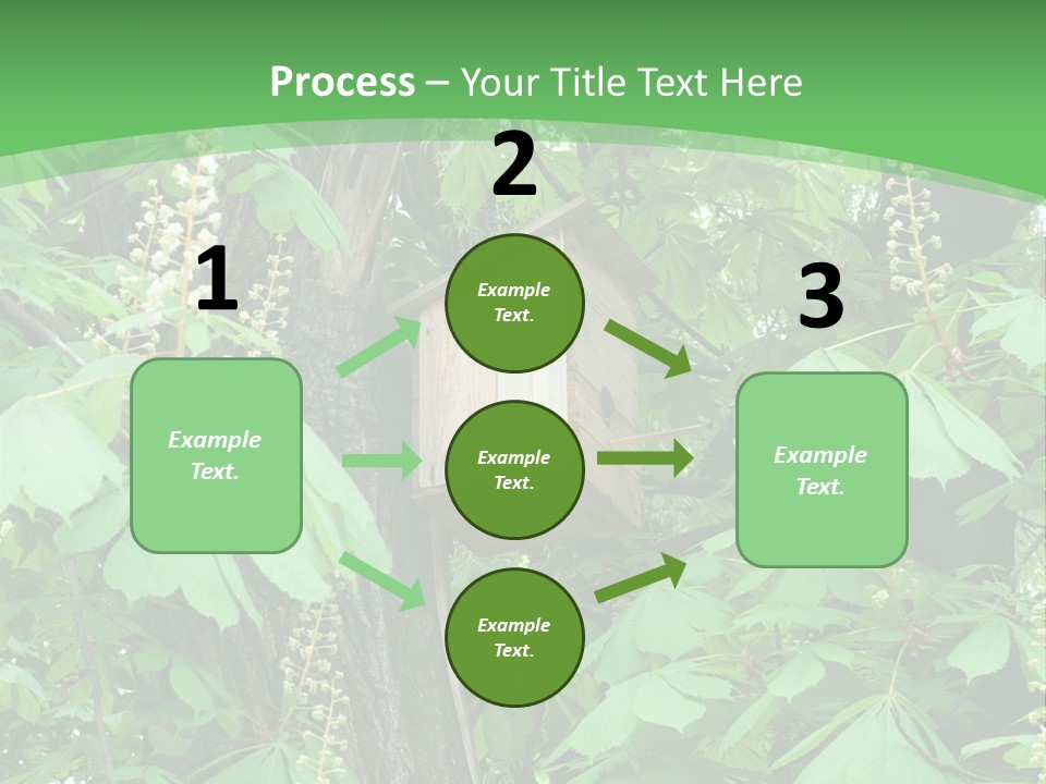 Freshness Leafage Color PowerPoint Template