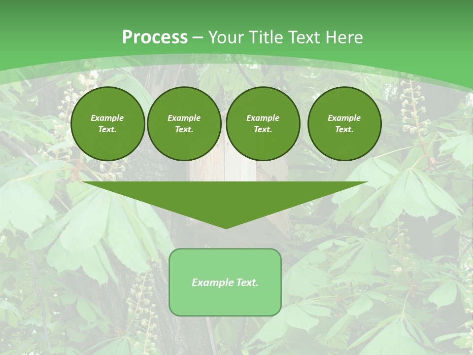 Freshness Leafage Color PowerPoint Template