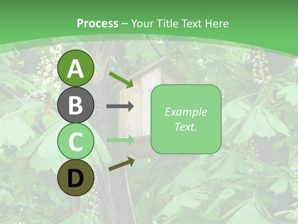 Freshness Leafage Color PowerPoint Template