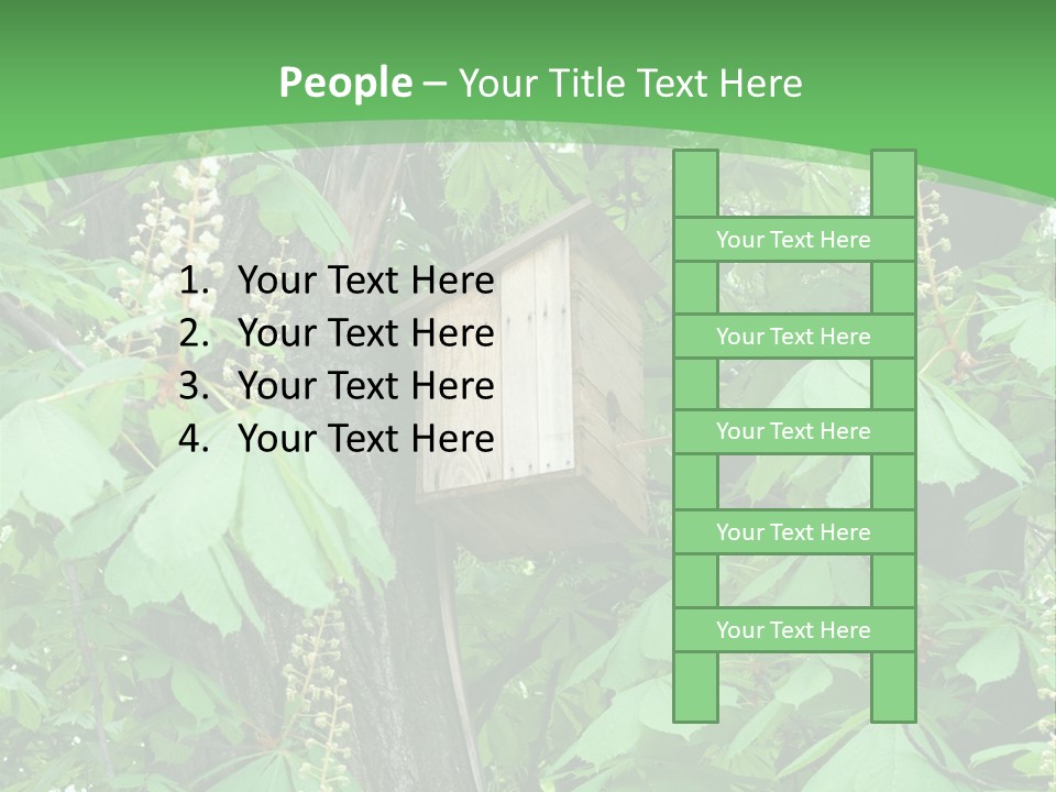 Freshness Leafage Color PowerPoint Template