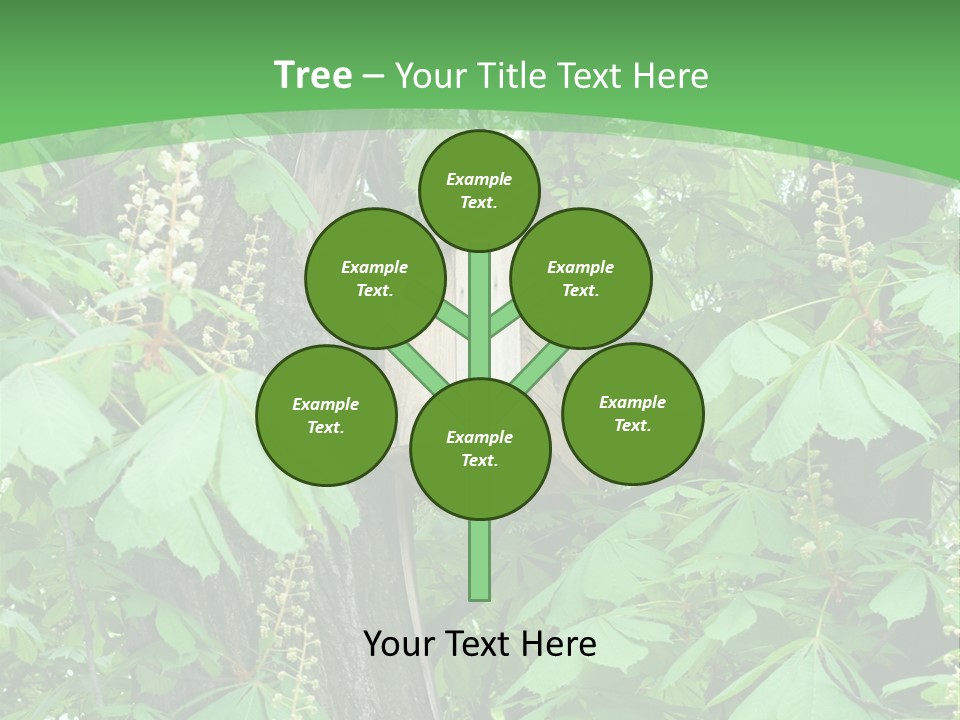 Freshness Leafage Color PowerPoint Template