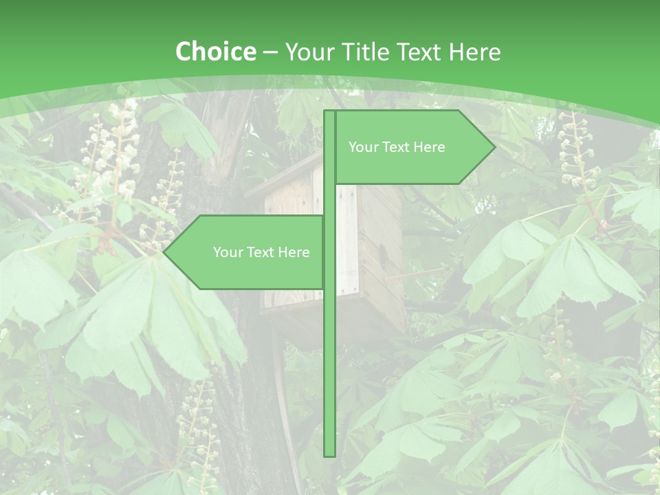 Freshness Leafage Color PowerPoint Template