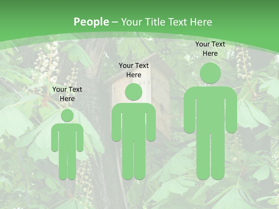 Freshness Leafage Color PowerPoint Template