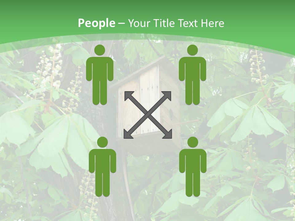 Freshness Leafage Color PowerPoint Template