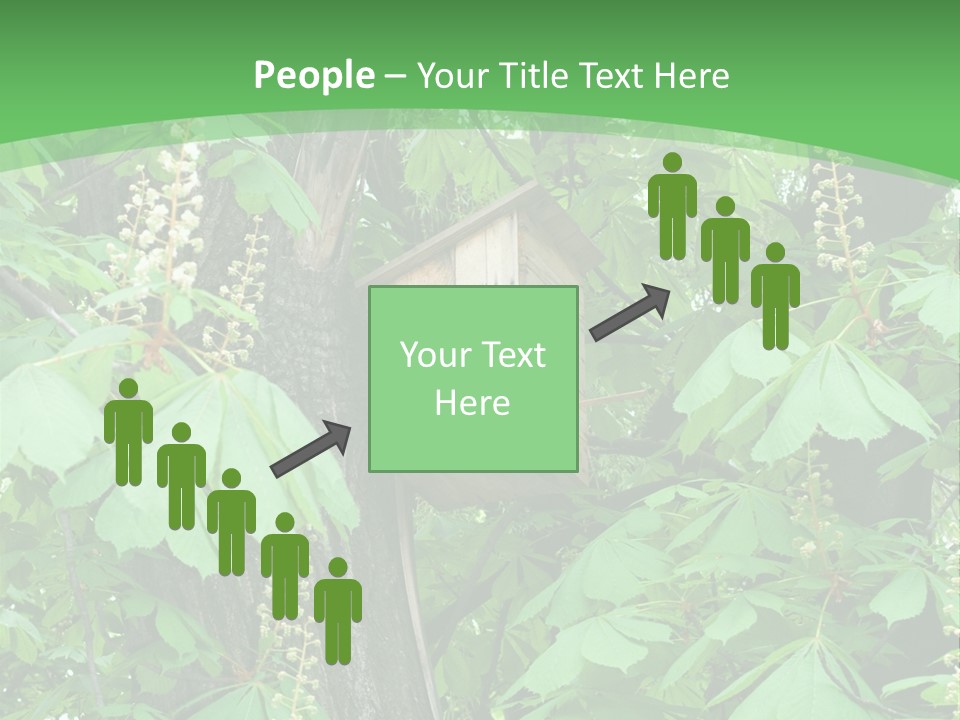 Freshness Leafage Color PowerPoint Template