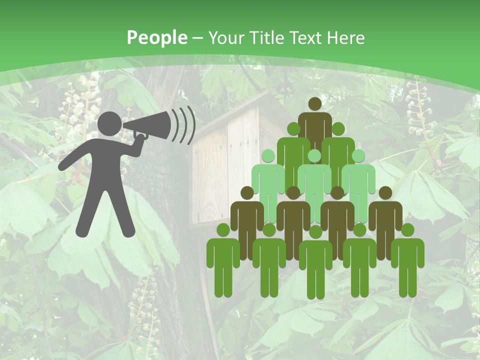 Freshness Leafage Color PowerPoint Template