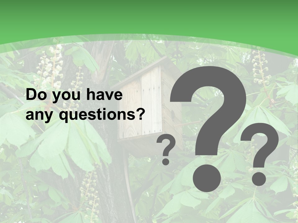 Freshness Leafage Color PowerPoint Template