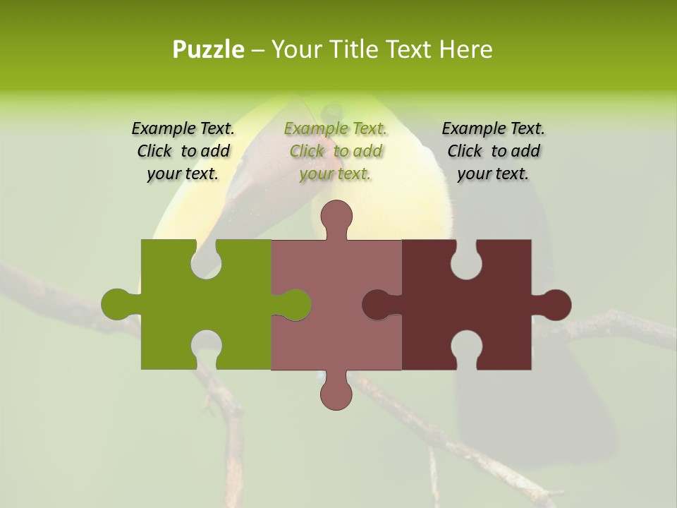 Nicaragua Colorful Chestnut PowerPoint Template